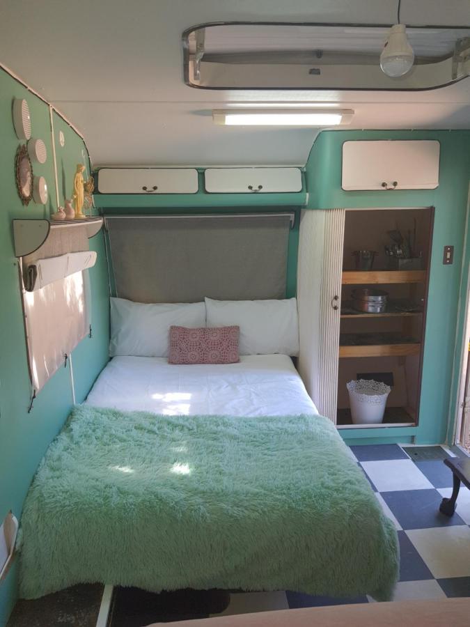 Oasis Shanti Backpackers Oudtshoorn Zewnętrze zdjęcie