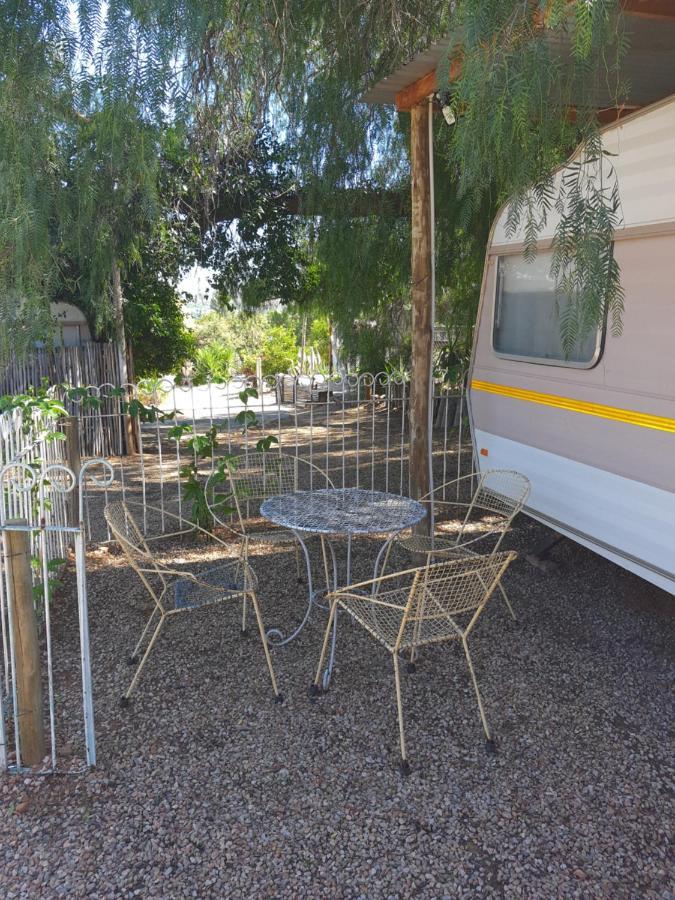 Oasis Shanti Backpackers Oudtshoorn Zewnętrze zdjęcie
