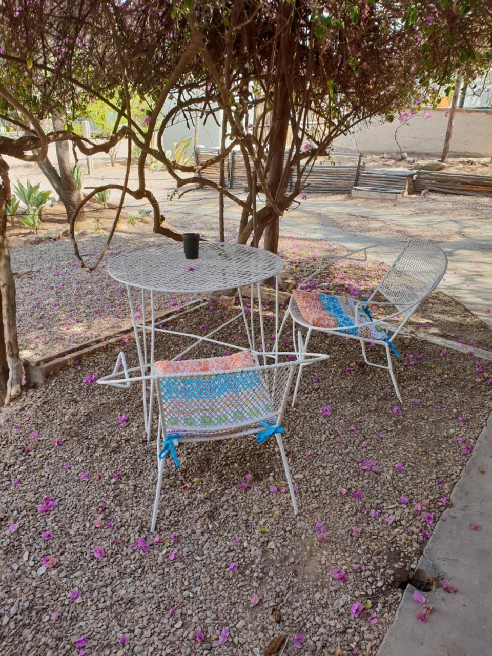 Oasis Shanti Backpackers Oudtshoorn Zewnętrze zdjęcie